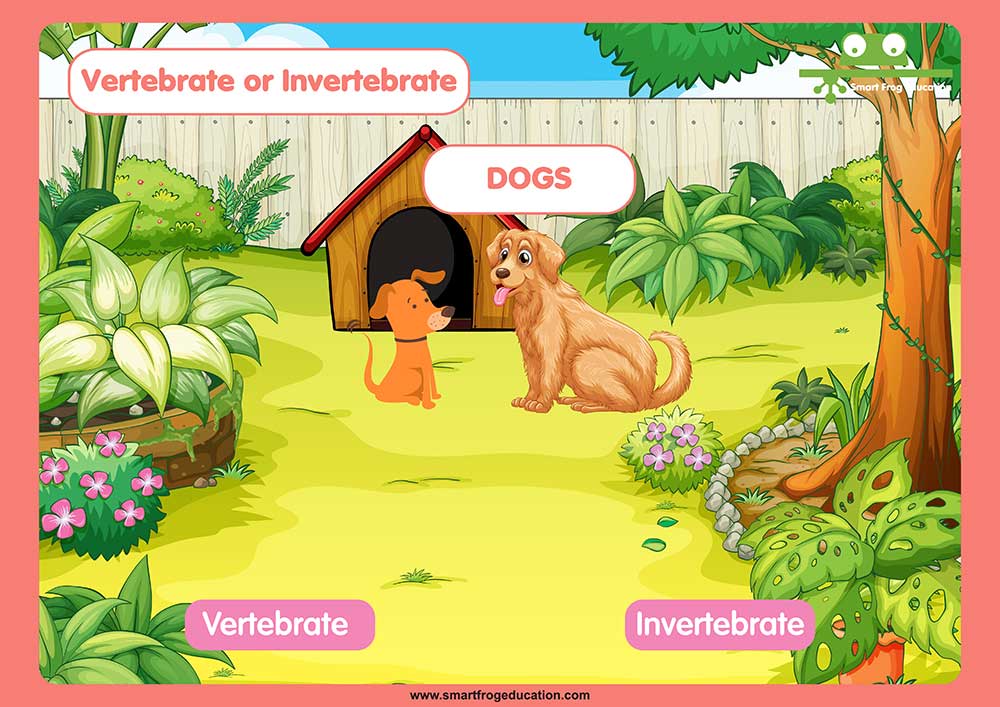 Vertebrates or Invertebrates AAA